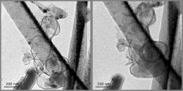 New lithium ion battery strategy offers more energy, longer life cycle
