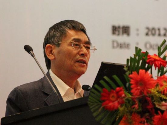 張相木:新能源汽車 需要政府一些引導