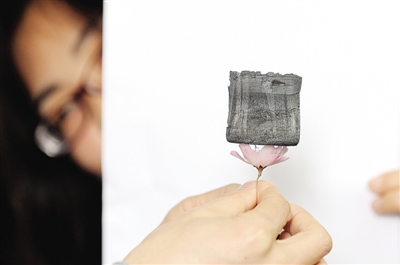 工作人員將一塊100立方厘米的“全碳?xì)饽z”放在一朵花上進(jìn)行展示。新華社記者