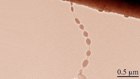 手機(jī)續(xù)航太爛？太陽能電池或成最佳方案